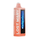 Lost Mary MO20000 Pro - Disposable Vape (5% - 20,000 Puffs) - MK Distro