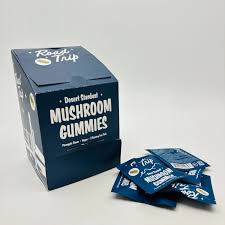 Road Trip - Mushroom Vegan Gummies 2ct (Box of 30)